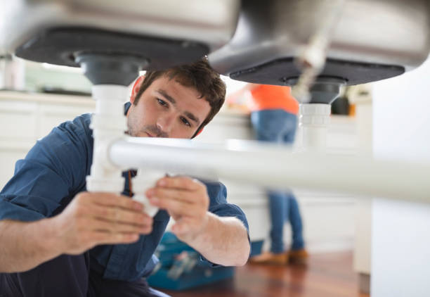 Best Clogged Drain Plumber  in Homestead, PA