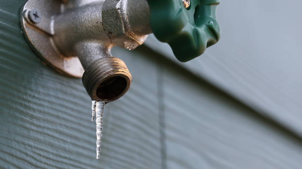 Best Clogged Drain Plumber  in Homestead, PA